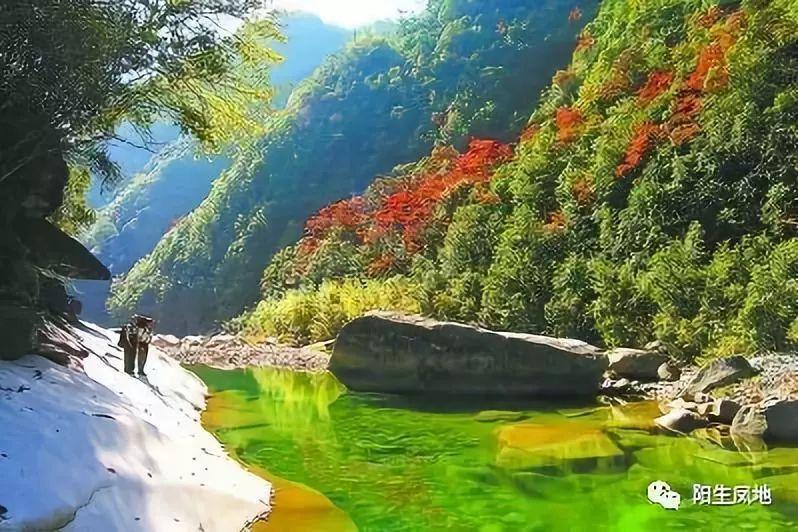 你的新能源车续保顺利吗? 监管严令取消不合理承保限制,高赔付痛点该怎么破